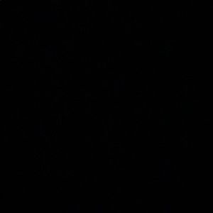 Meet your Posher, Ben